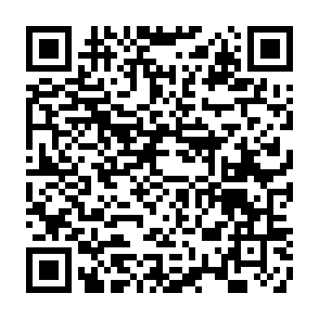 QR-Code für Record PILOT-2026-0001